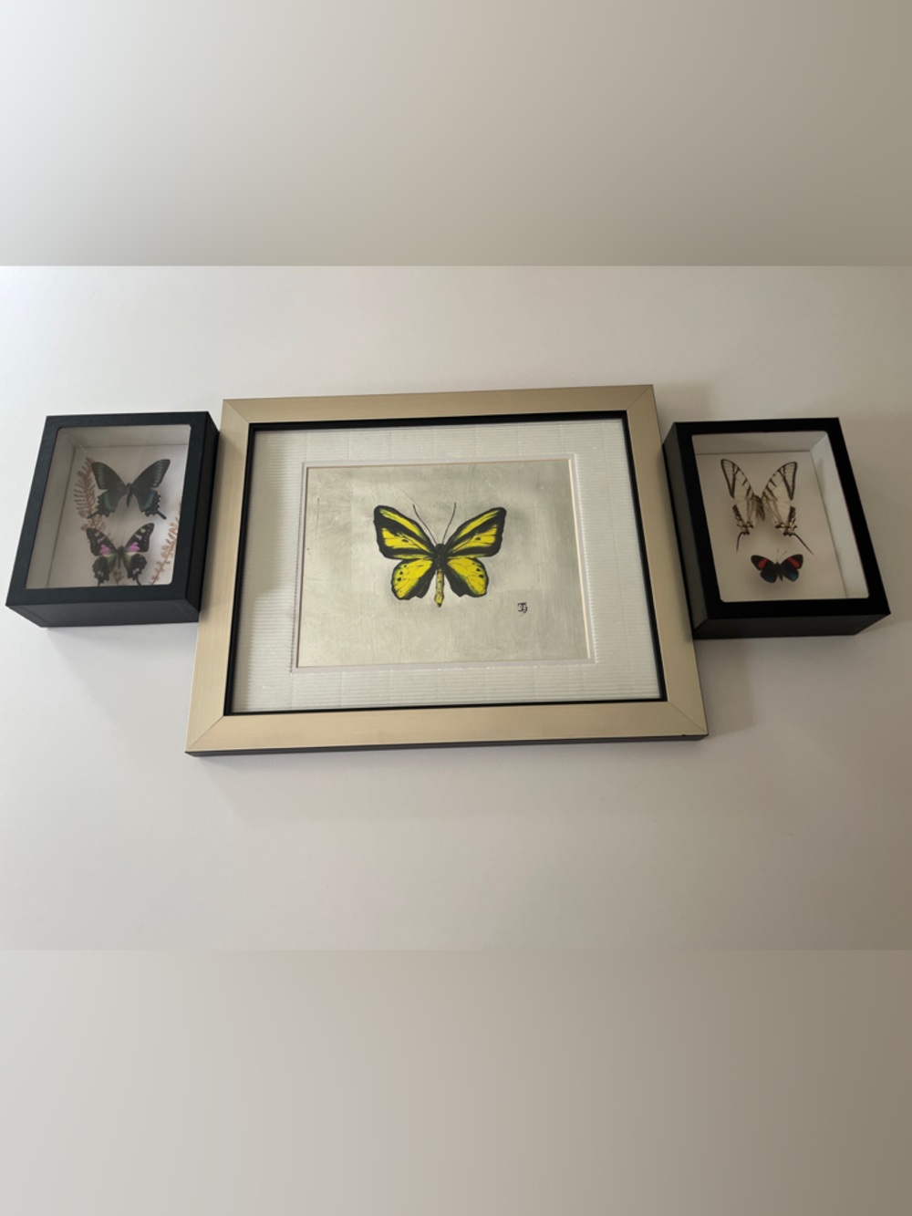 Framed Butterfly Art Set - Yellow & Black Centerpiece